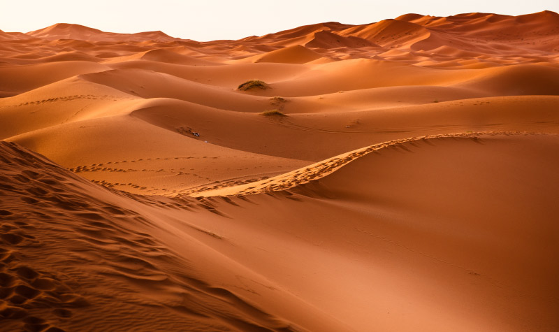 A orangey-brown desert sandscape to represent the discomfort of dry mouth